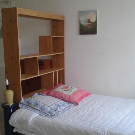 Le Sultan Du Theron 3Em Etage Apartman Le Puy-en-Velay Kültér fotó