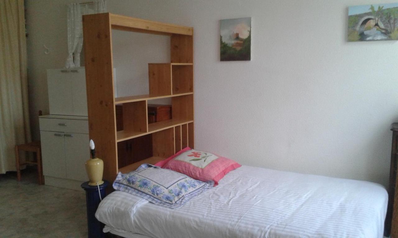 Le Sultan Du Theron 3Em Etage Apartman Le Puy-en-Velay Kültér fotó